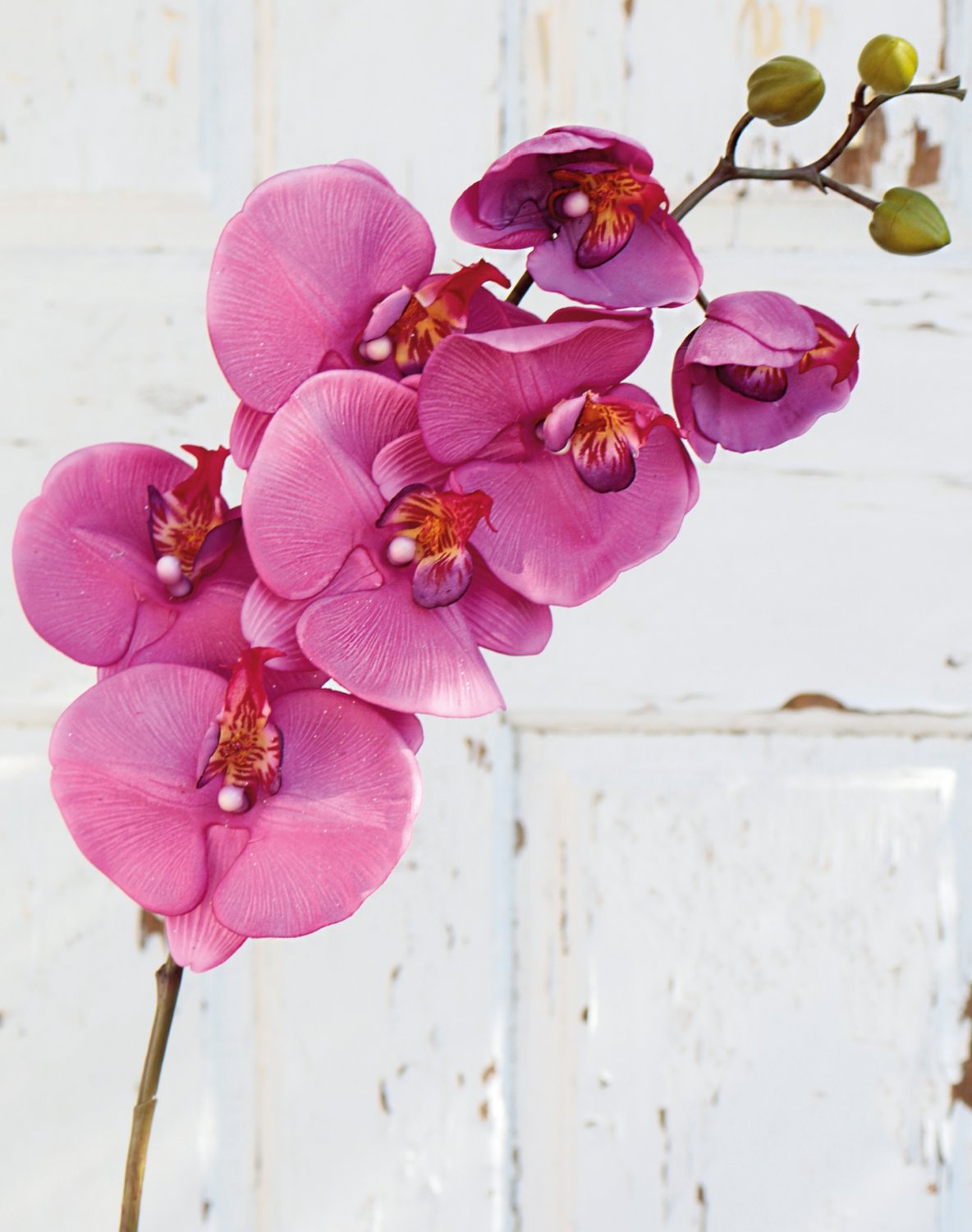 Künstliche Orchidee Phalaenopsis, 103 cm, Real Touch, cerise