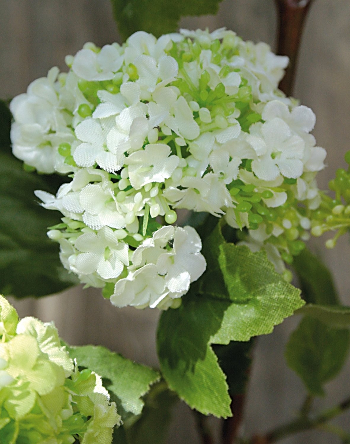 Ramo di viburnum artificiale, 47 cm, bianco-crema