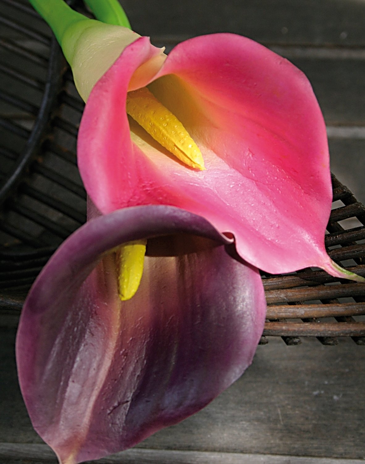 Künstliche Calla, 68 cm, Real Touch Soft, pink