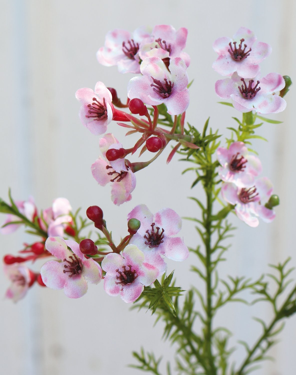 Künstliche Wachsblume, 65 cm, rosa