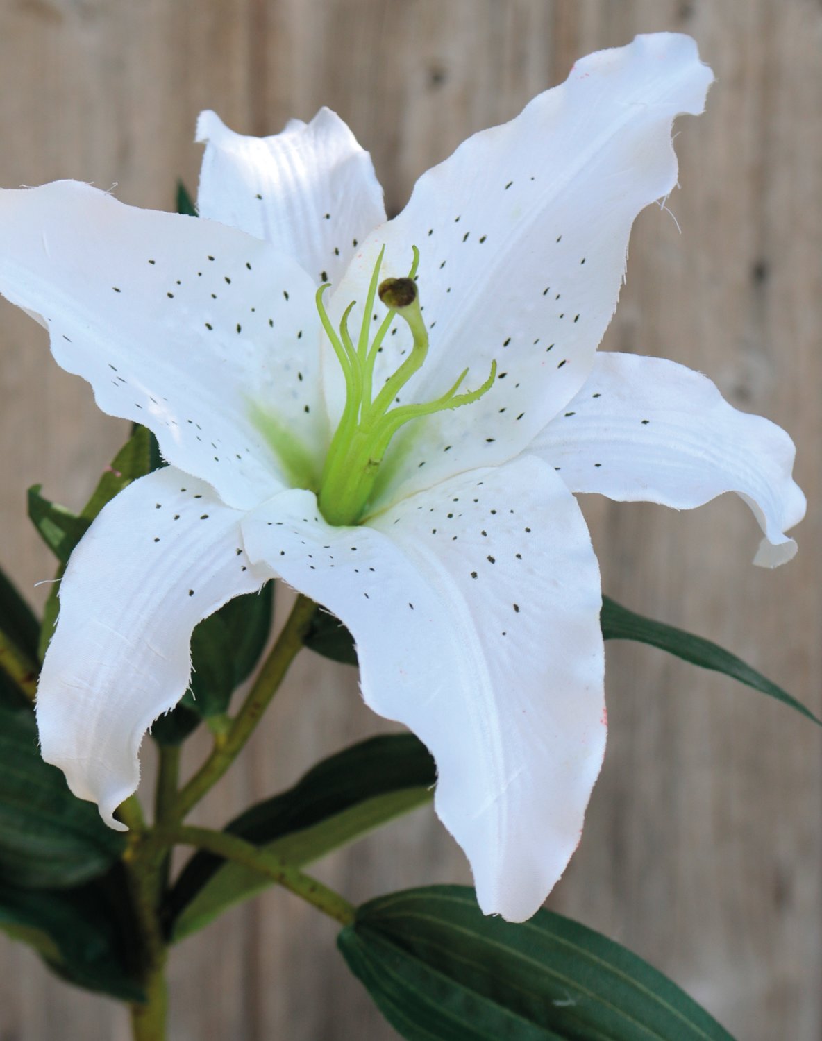 Giglio artificiale, 1 fiore, 1 bocciolo, 76 cm, bianco-verde