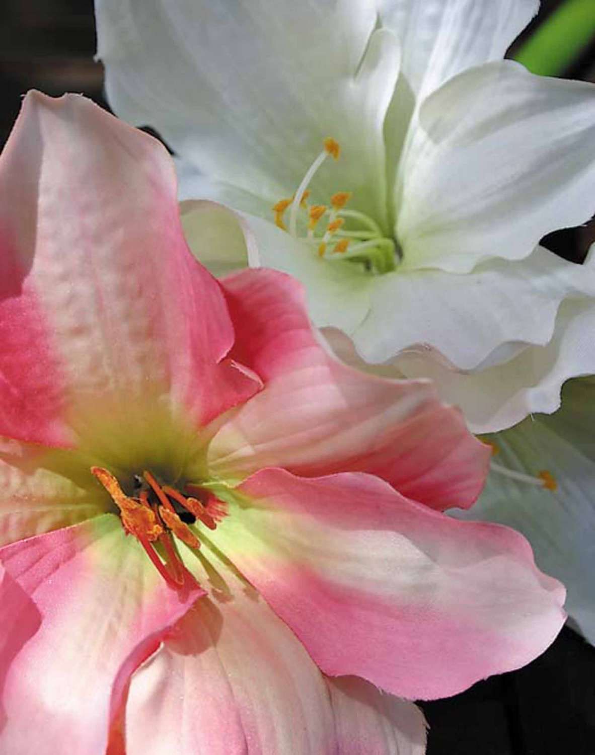 Amaryllis artificiale, 80 cm, rosa chiaro-rosa scuro