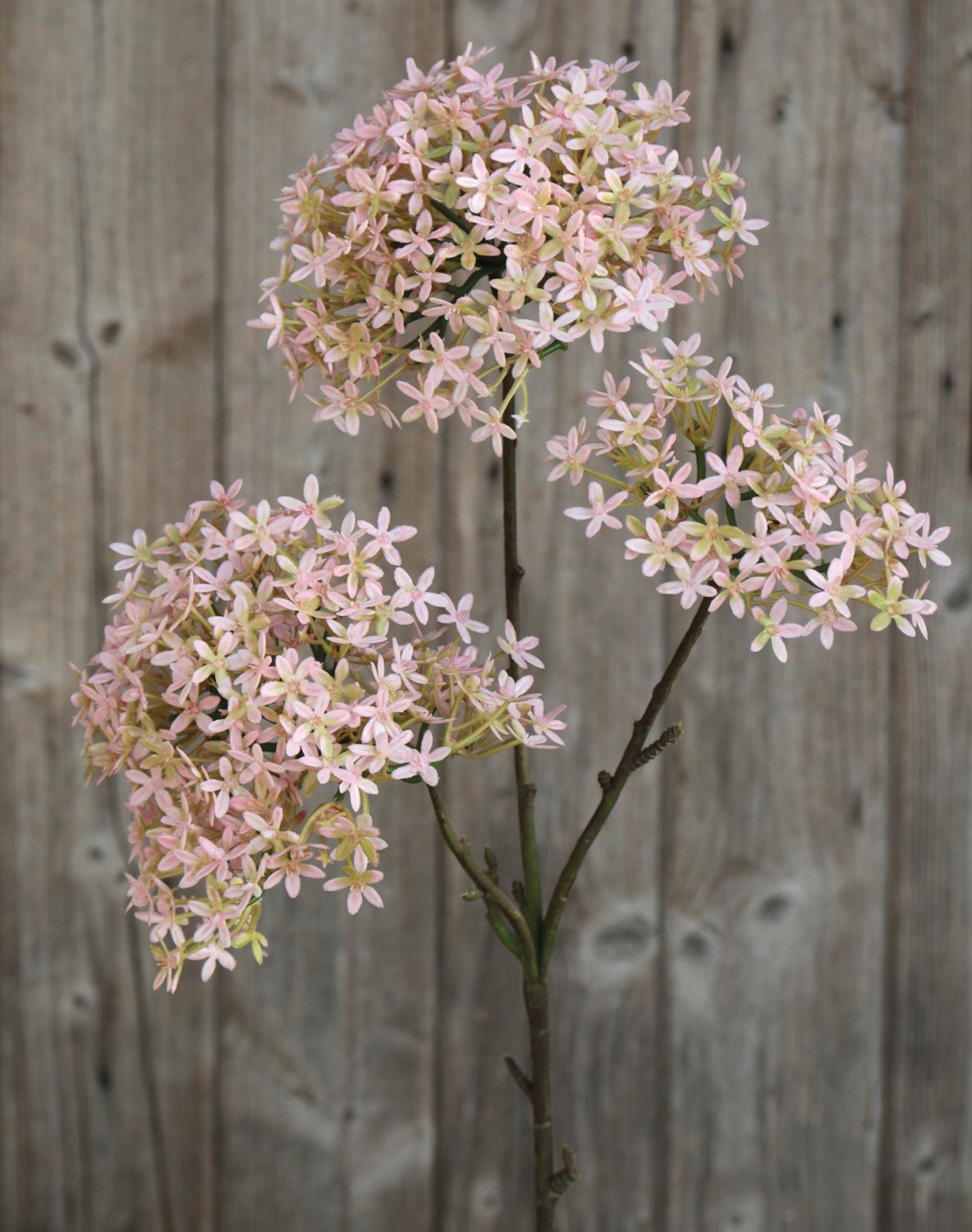 Künstliche Kronenblume, 3-fach, 76 cm, rosa-grün