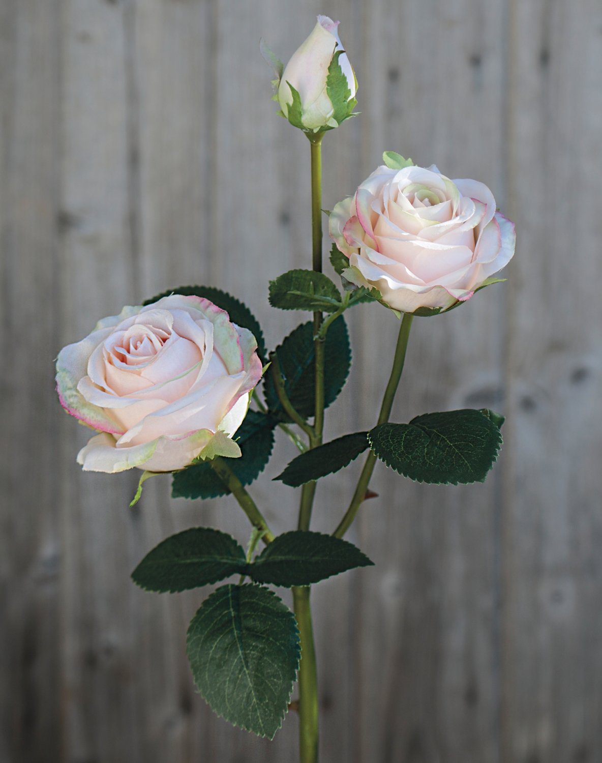 Künstliche Rose, 2 Blüten, 1 Knospen, 57 cm, antik-hellrosa Künstliche Rose, 2 Blüten, 1 Knospen, 57 cm, antik-hellrosa
