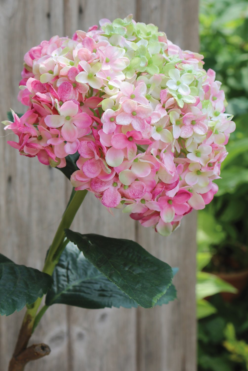 Künstliche Hortensie, 60 cm, rosa-grün Künstliche Hortensie, 60 cm, rosa-grün
