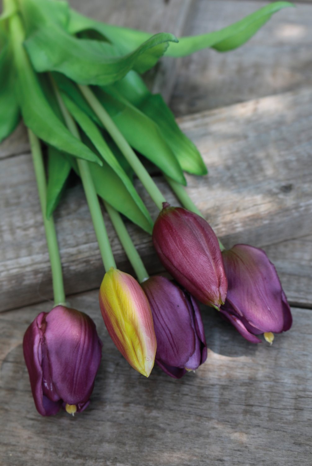 Artificial bunch of tulips, 5-fold, 37 cm, violet-green