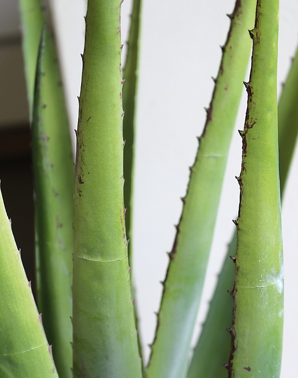 Aloe artificiale in vaso, 58 cm, verde