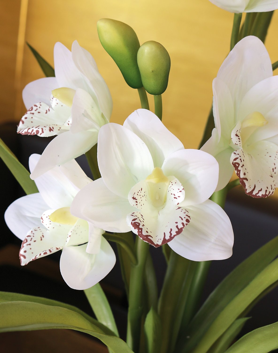 Künstliche Orchidee Cymbidium, getopft, 57 cm, Real Touch Soft, creme-weiß