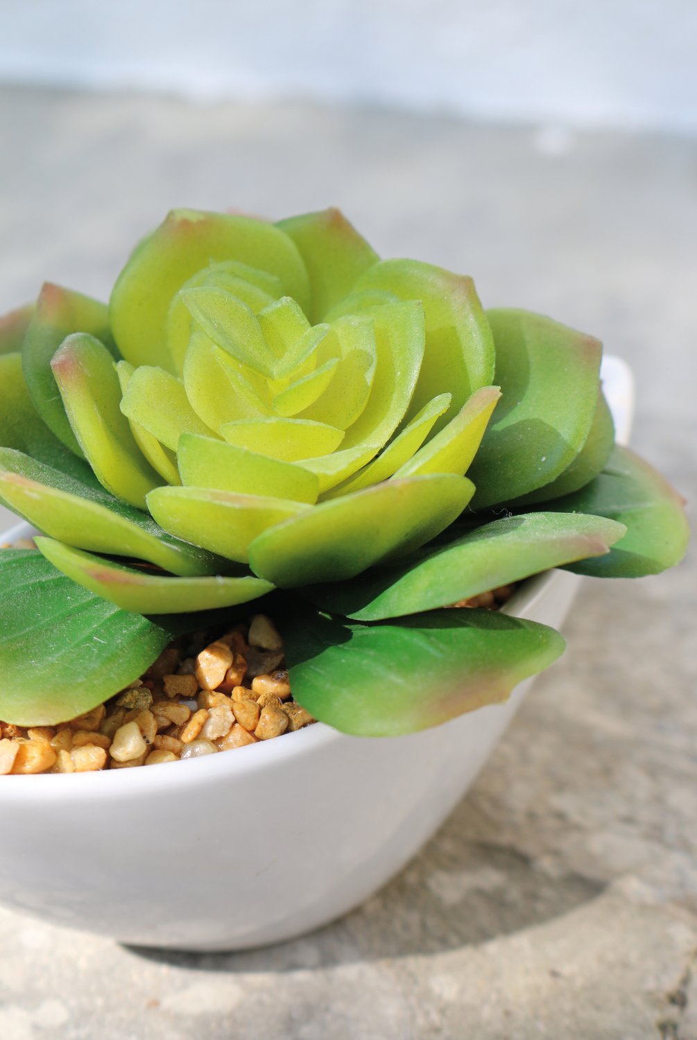 Künstliche Echeveria in Keramiktopf, 9cm, grün