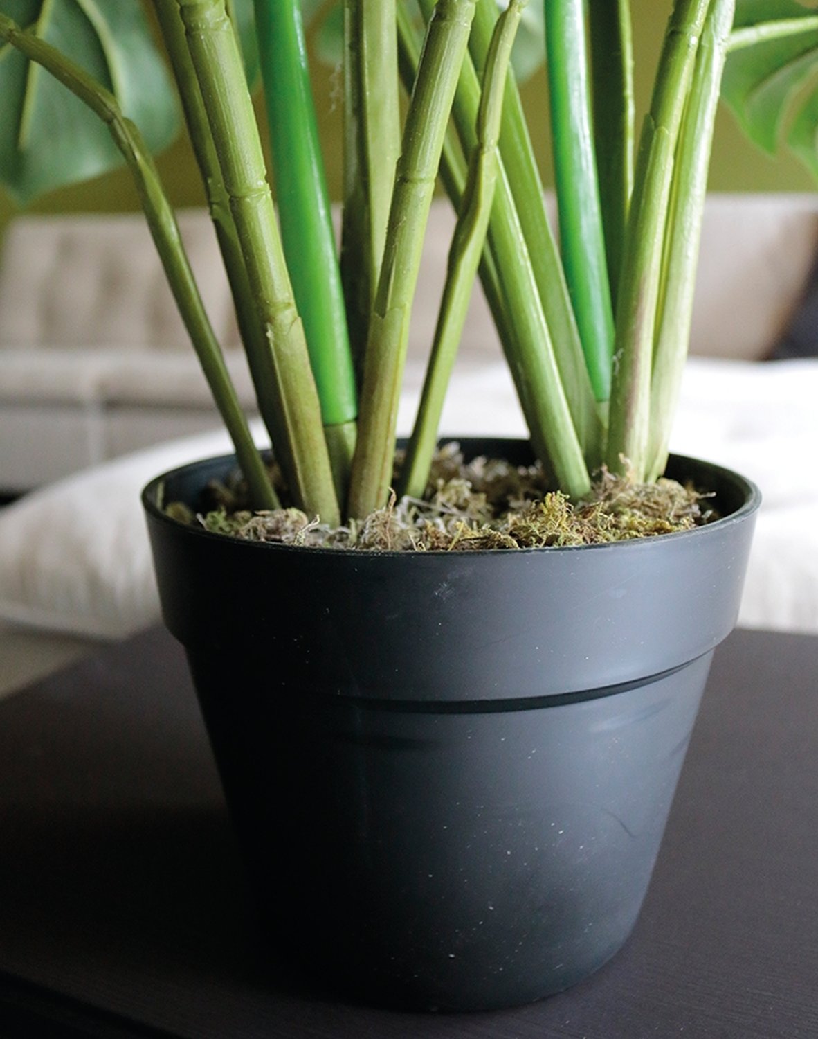 Monstera artificiale (foglia di finestra), in vaso, 55 cm, verde