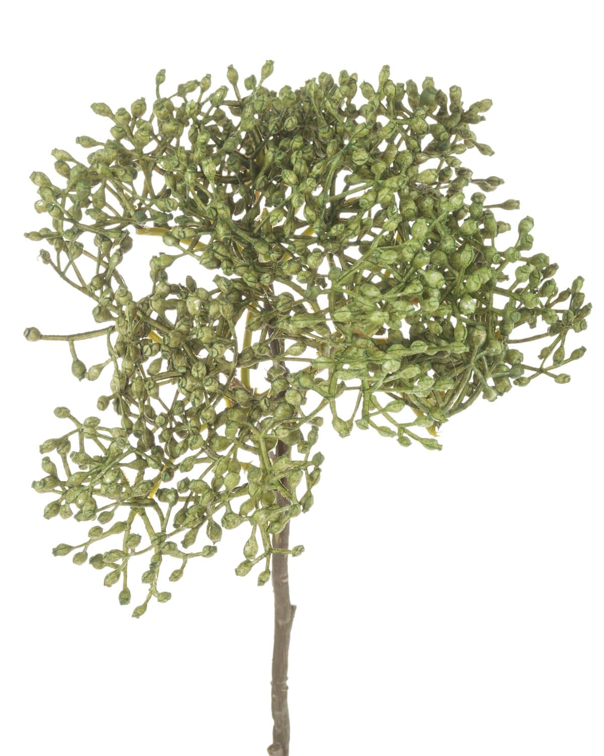 Decorative virburnum branch "Vintage", 54 cm, green