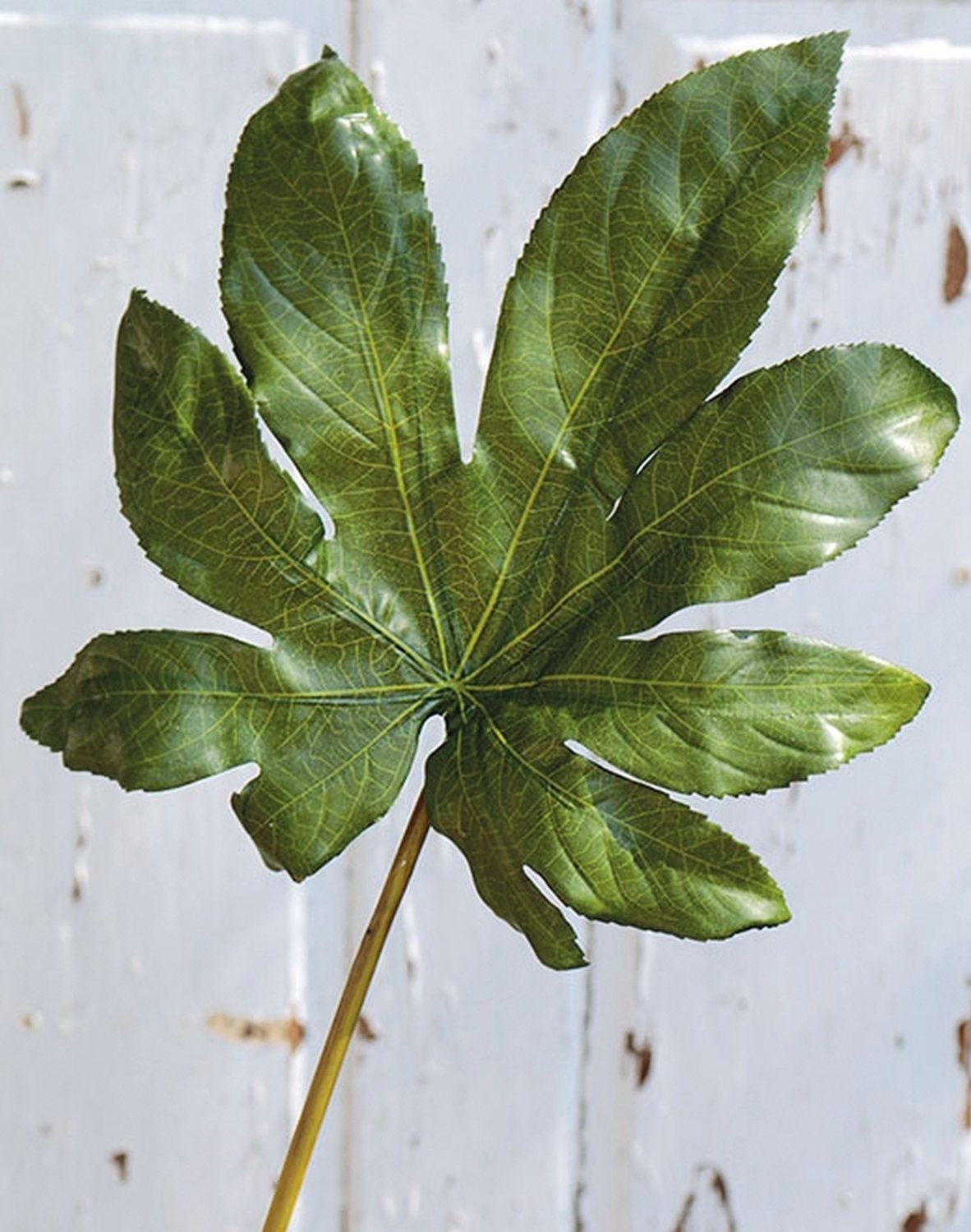 Faux aralia leaf, 69 cm, green