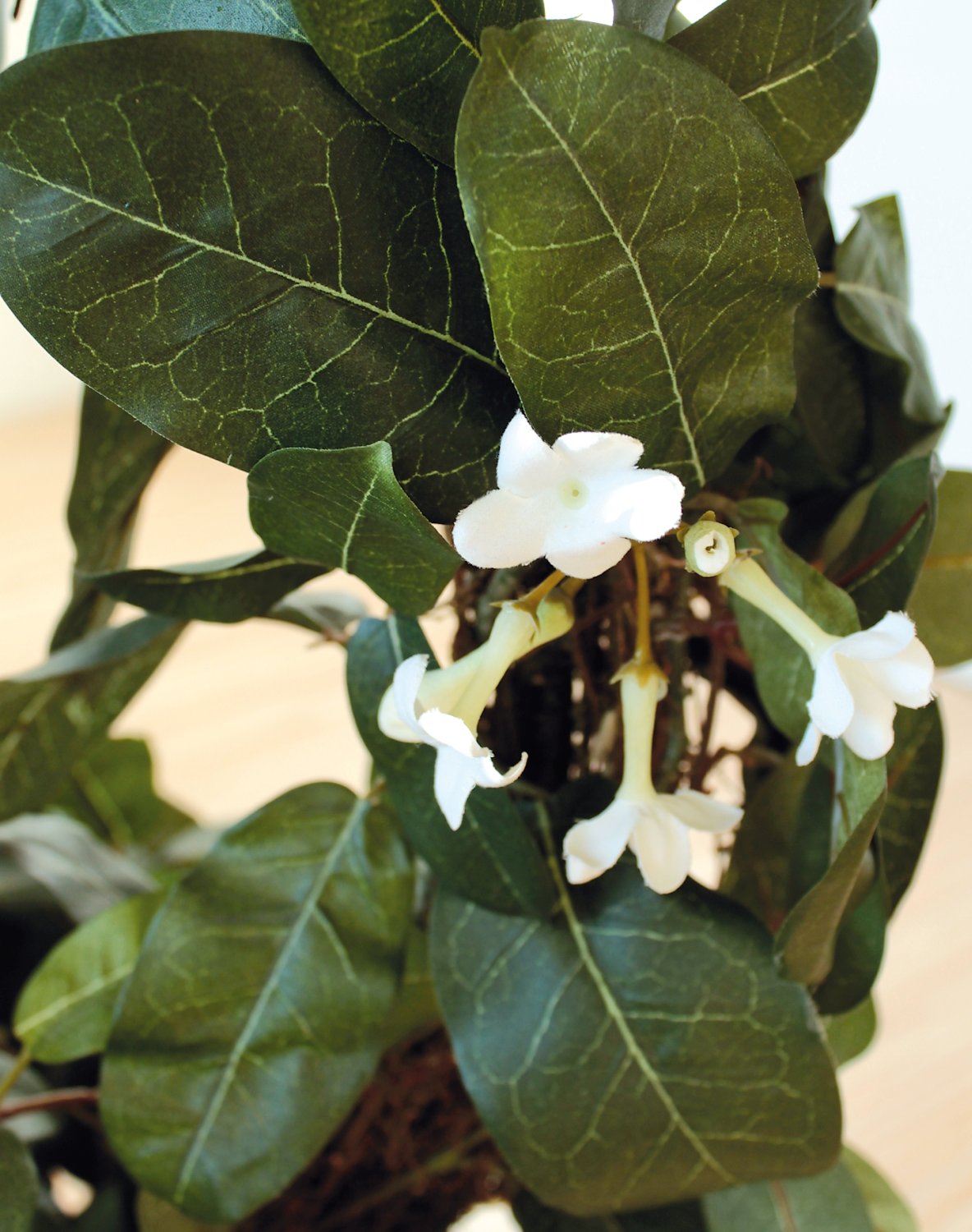 Artificial stephanotis wreath, potted, Ø 50 cm (total 63 cm), green