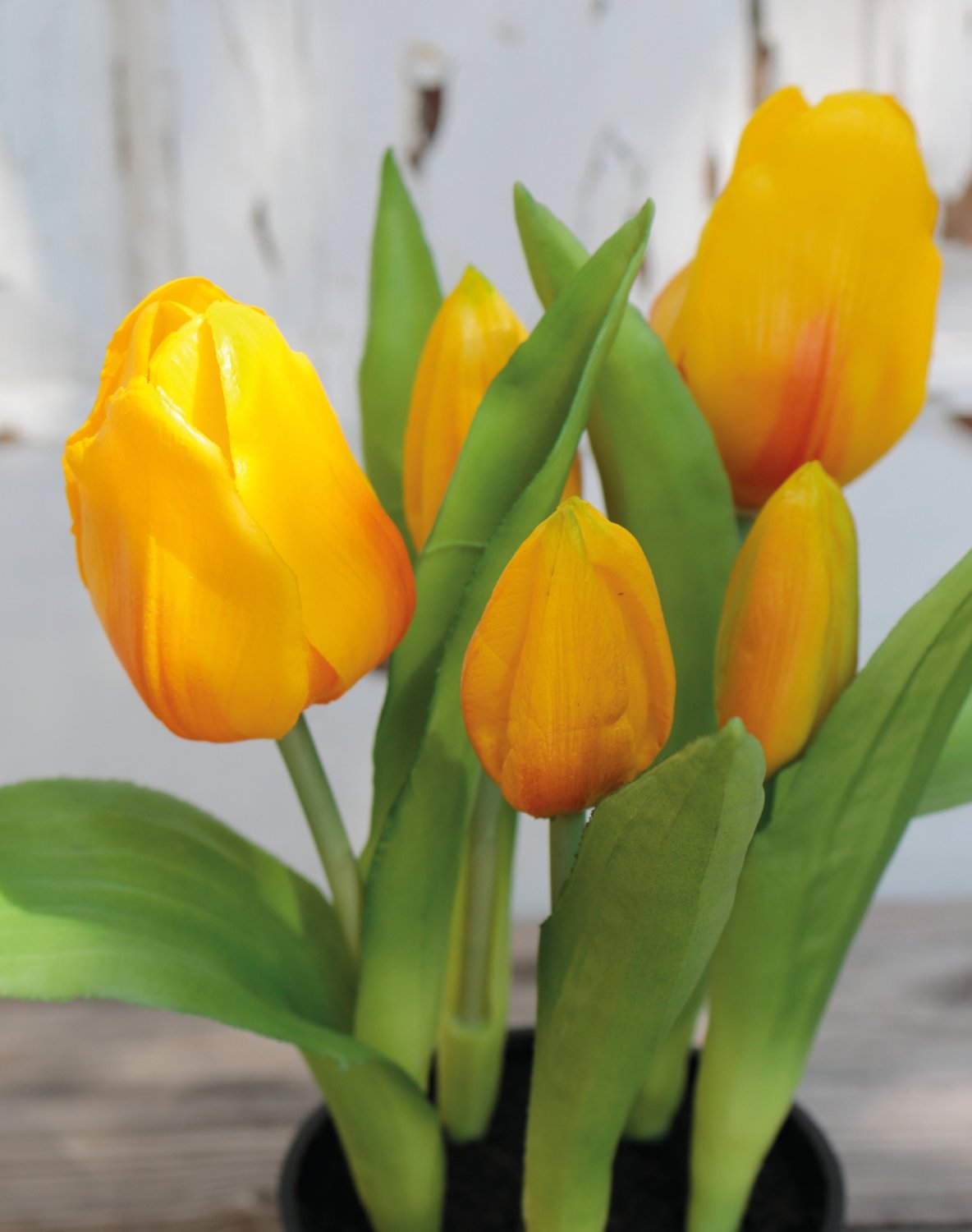 Künstliche Tulpen, getopft, 5-fach, 25 cm, Real Touch, gelb-orange