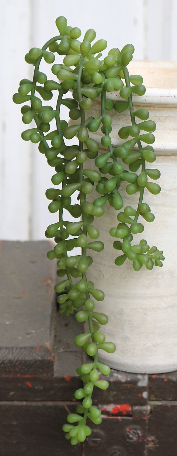 Künstliche Sukkulente, hängend, 40 cm, grün