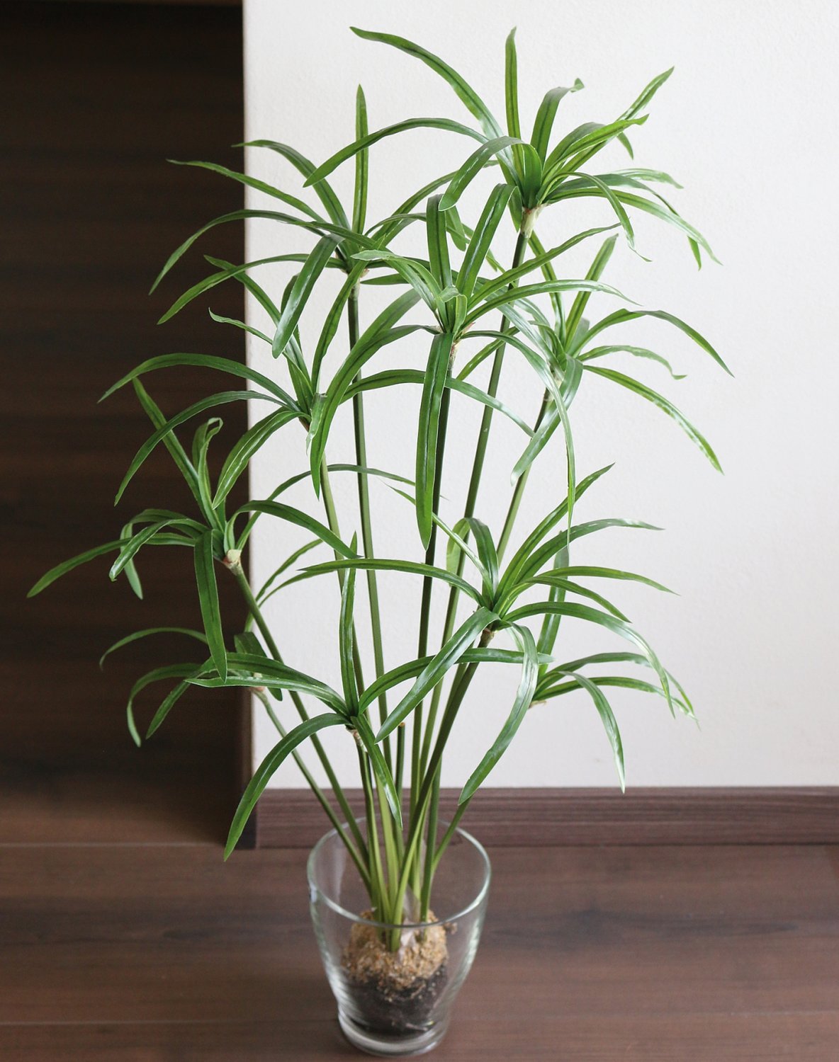 Künstliches Zyperngras in 'Erde', 85 cm, grün