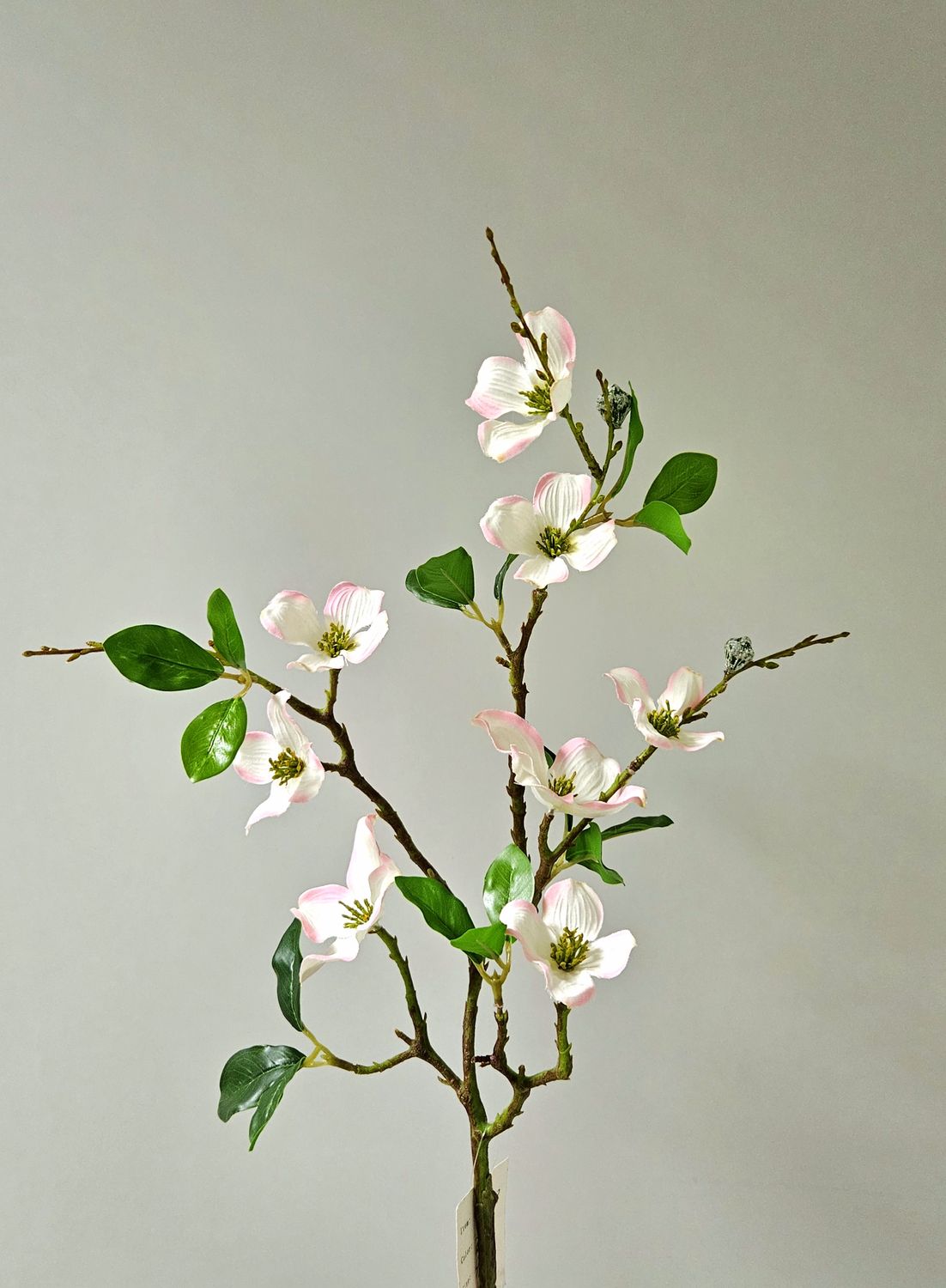 Dekozweig japanischer Hartriegel, 76 cm, weiß-rosa Dekozweig japanischer Hartriegel, 76 cm, weiß-rosa