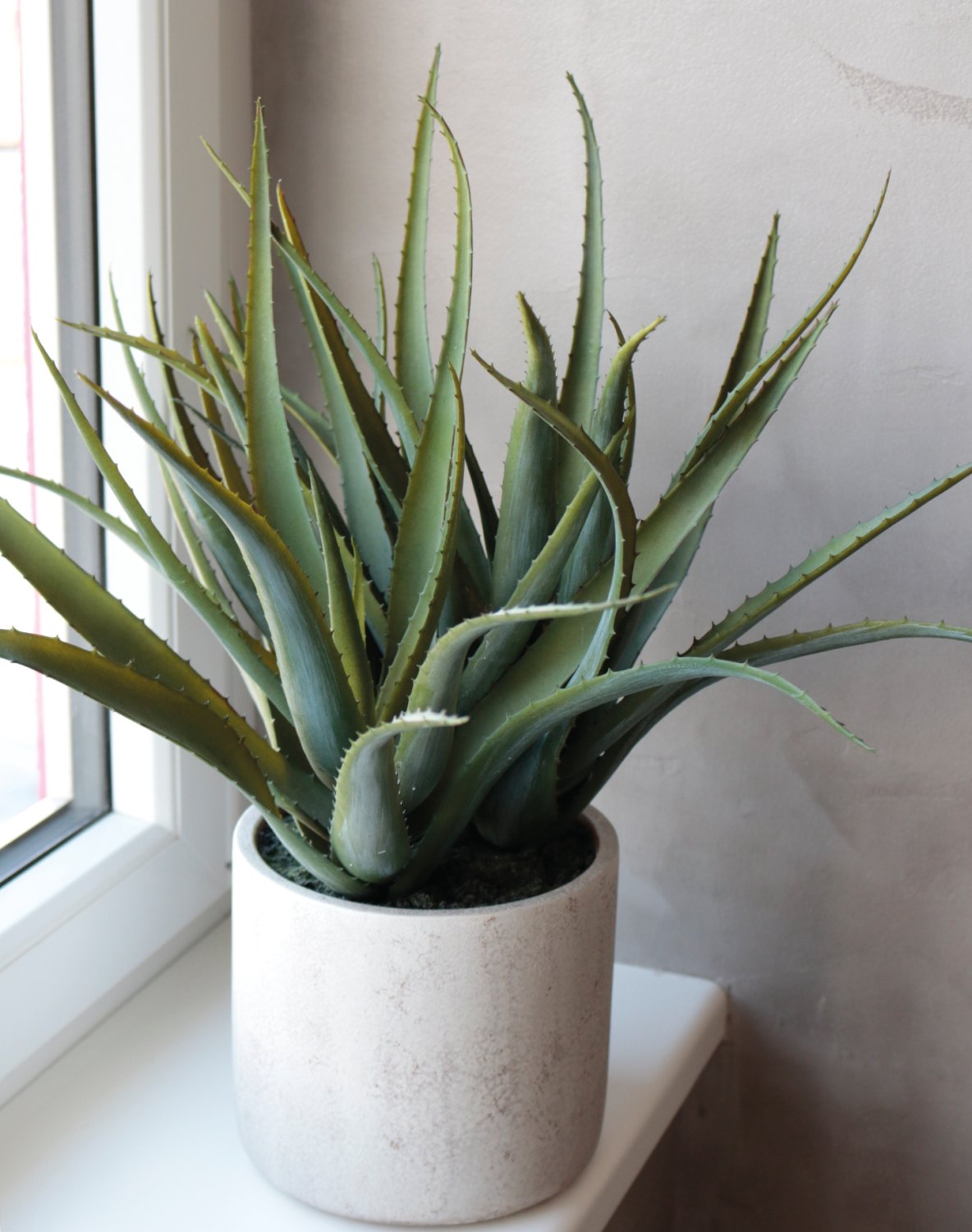 Künstliche Aloe, getopft, 53 cm, grün Künstliche Aloe, getopft, 53 cm, grün