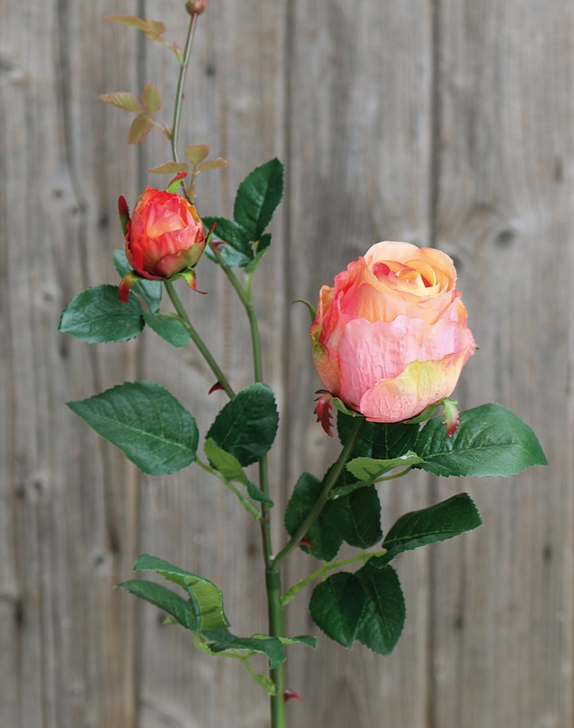 Künstliche Rose, 1 Blüten, 1 Knospen, 80 cm, aprikose