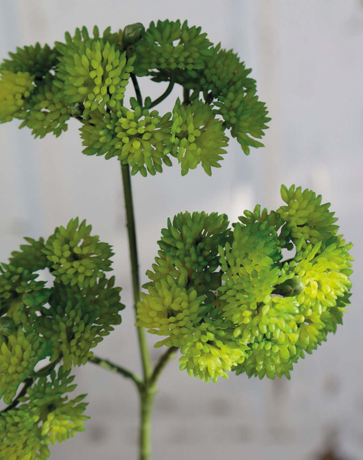 Artificial sedum branch, 32 cm, green