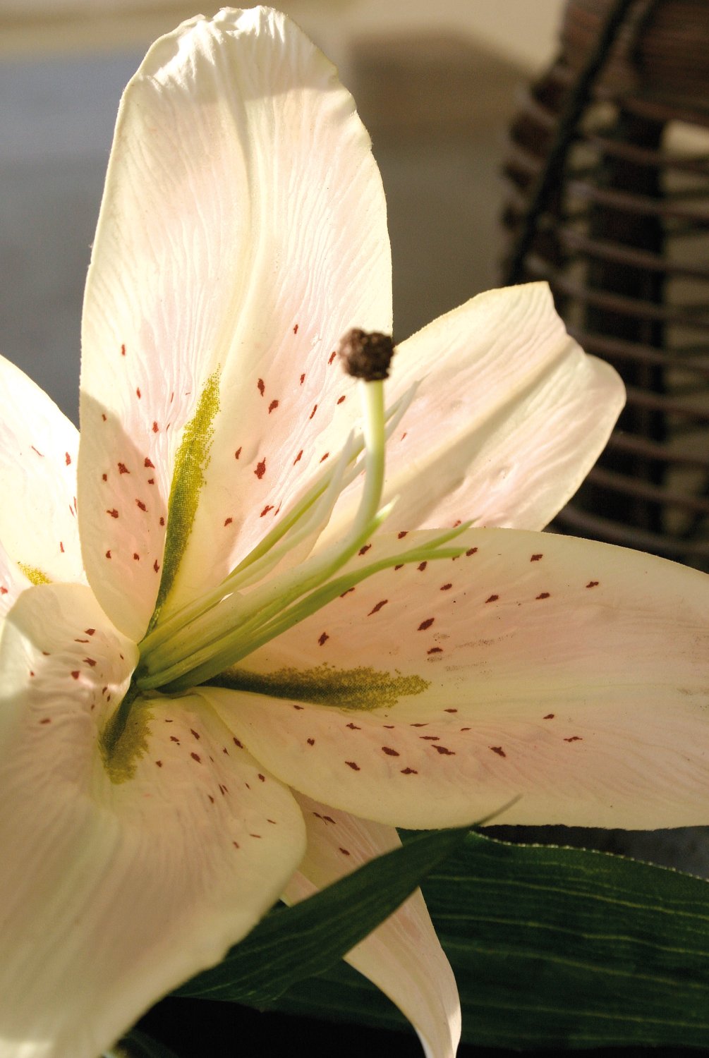 Künstliche Lilie Casablanca, 80 cm, 2 Blüten, 1 Knospen, Real Touch Soft, hellrosa