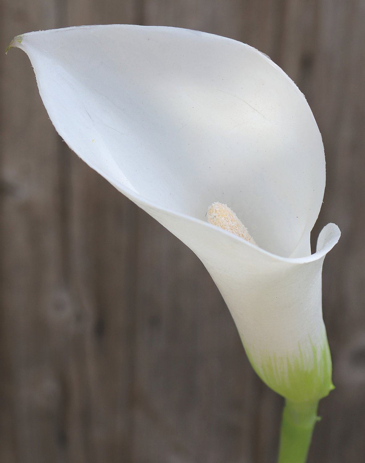 Künstliche Calla aus Kunststoff, 75 cm, weiß