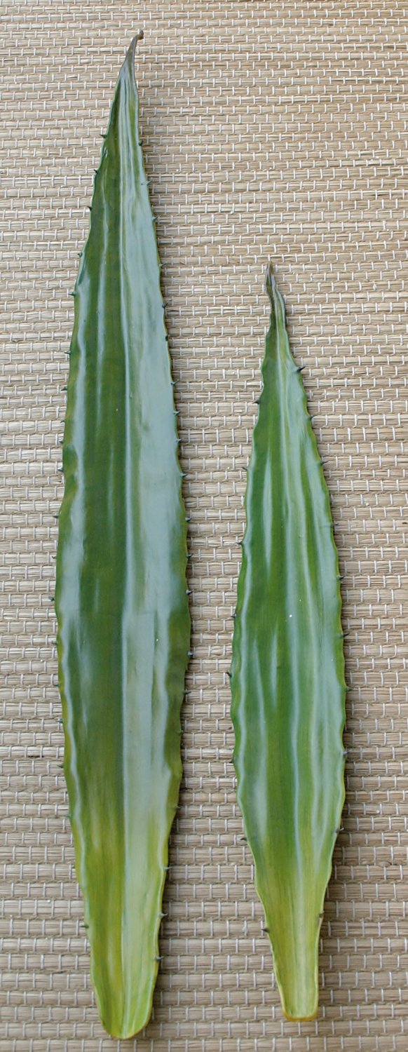 Künstliche Aloe Vera Blatt, 60 cm, grün
