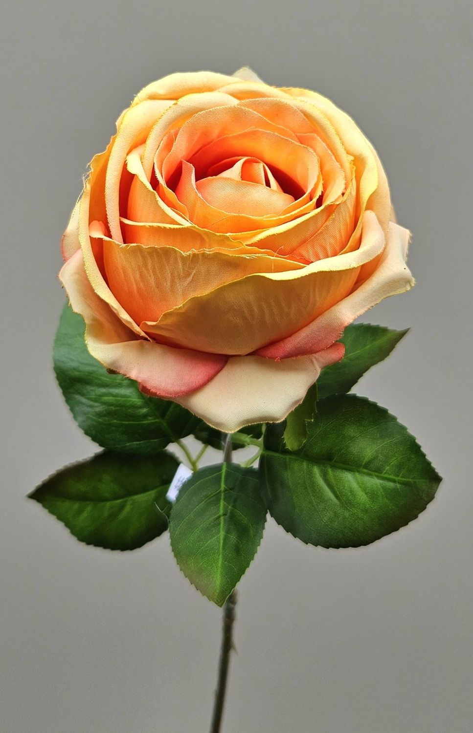 Englische Kunstrose, 66 cm, orange Englische Kunstrose, 66 cm, orange