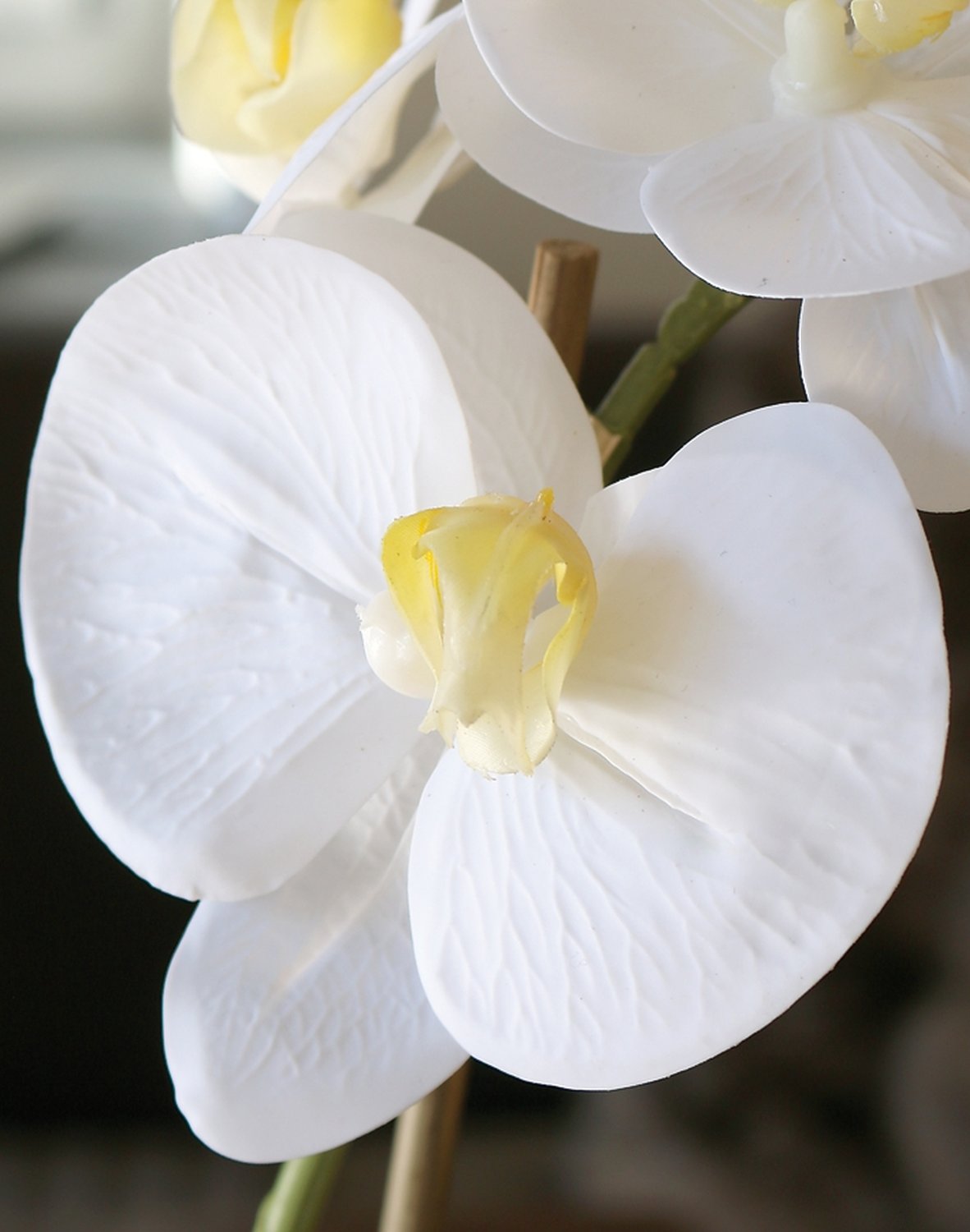 Künstliche Orchidee Phalaenopsis, getopft, 43 cm, Real Touch Soft, creme-weiß
