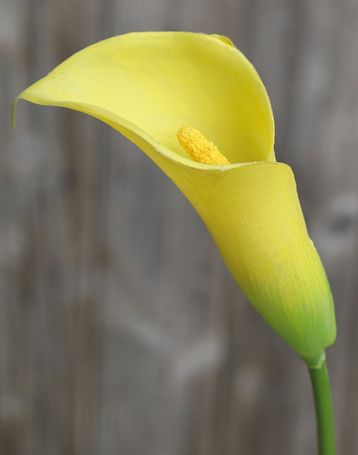 Künstliche Calla aus Kunststoff, 65 cm, gelb