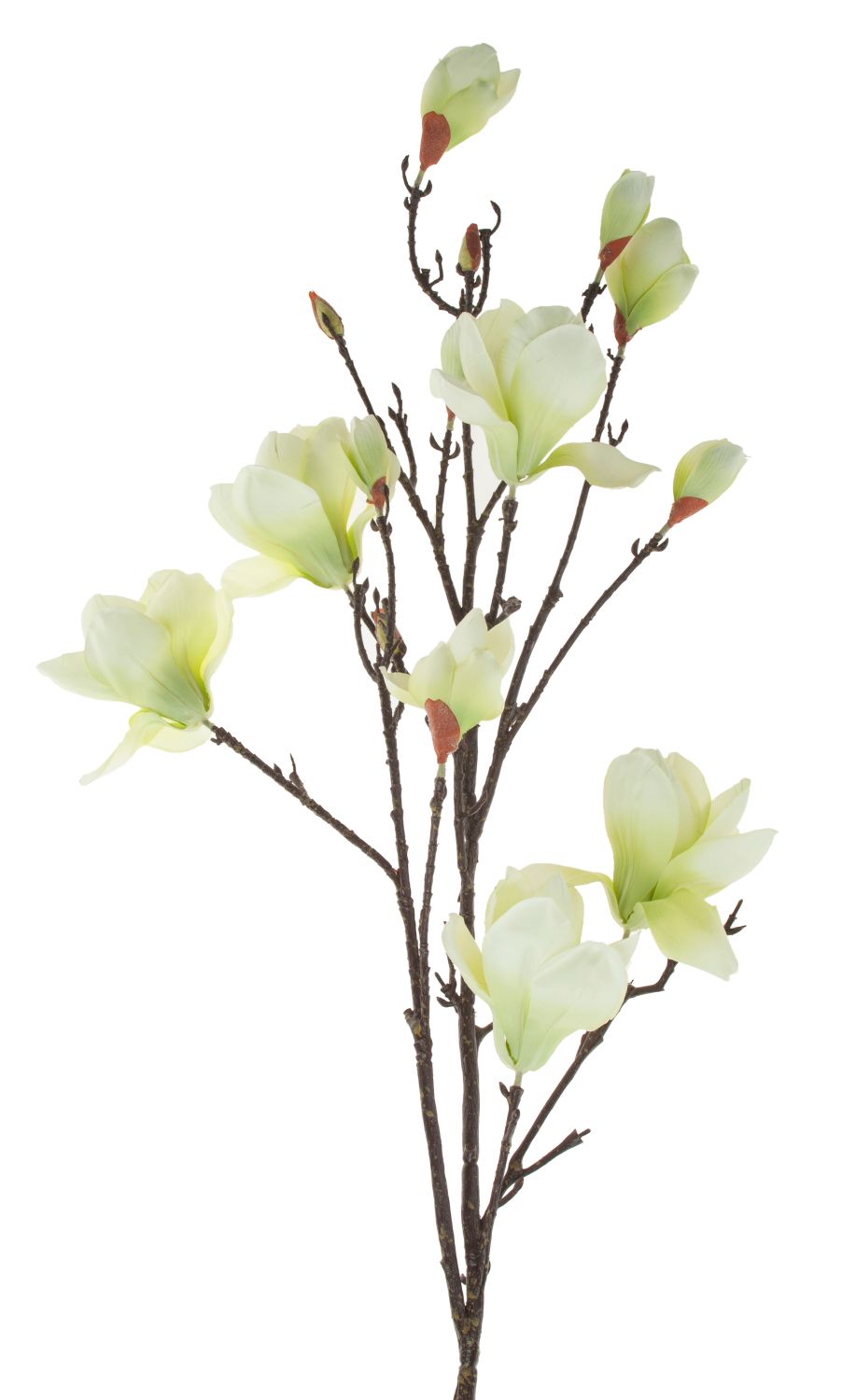 Artificial magnolia blossom branch, 129 cm, creme-green
