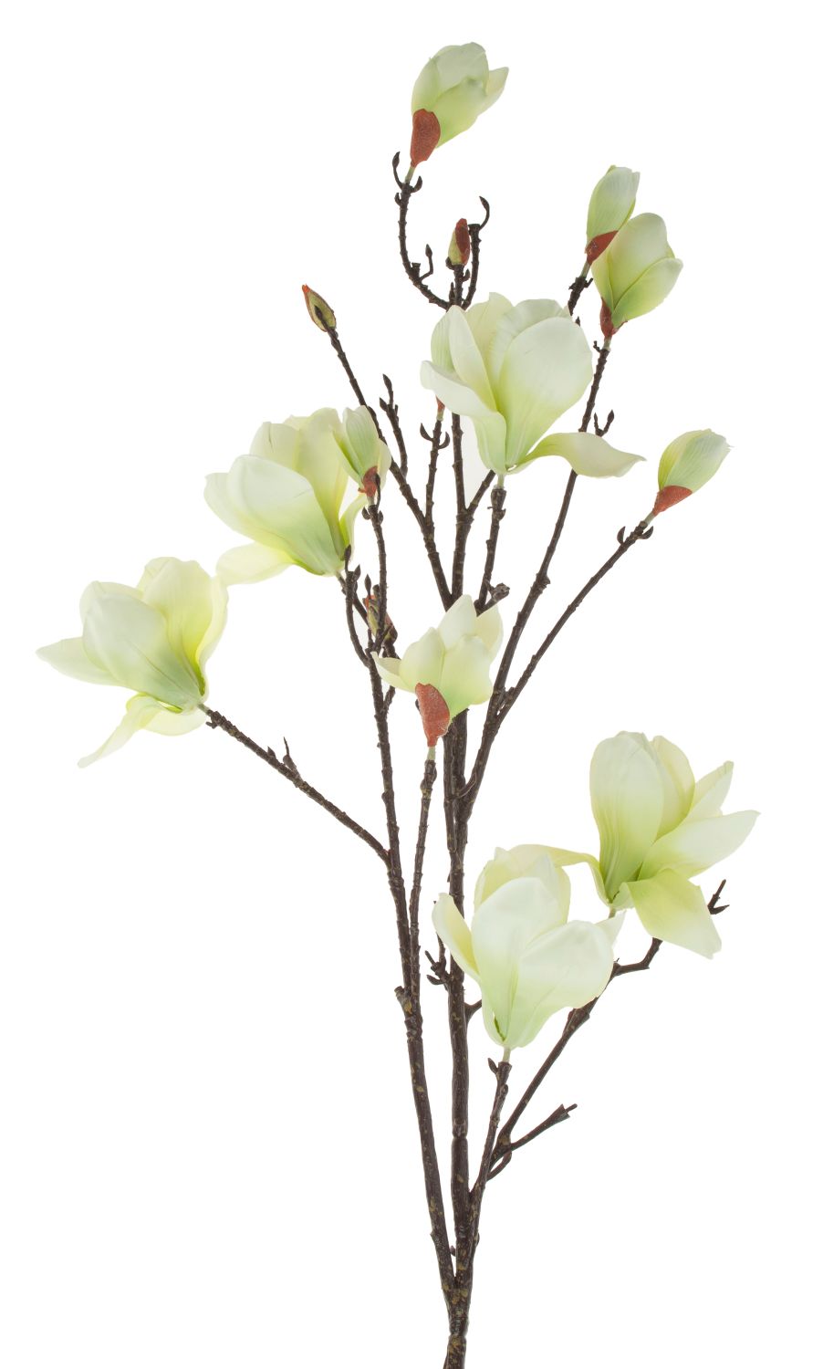 Künstlicher Magnolienblütenzweig, 129 cm, creme-grün