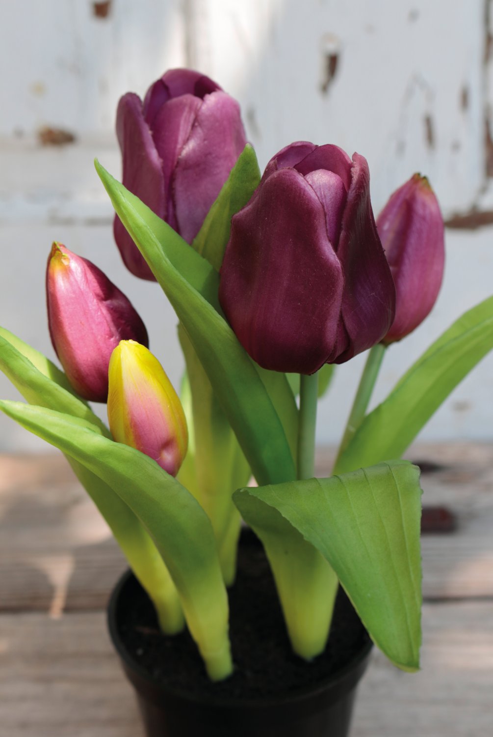 Künstliche Tulpen, getopft, 5-fach, 25 cm, Real Touch, violett-grün