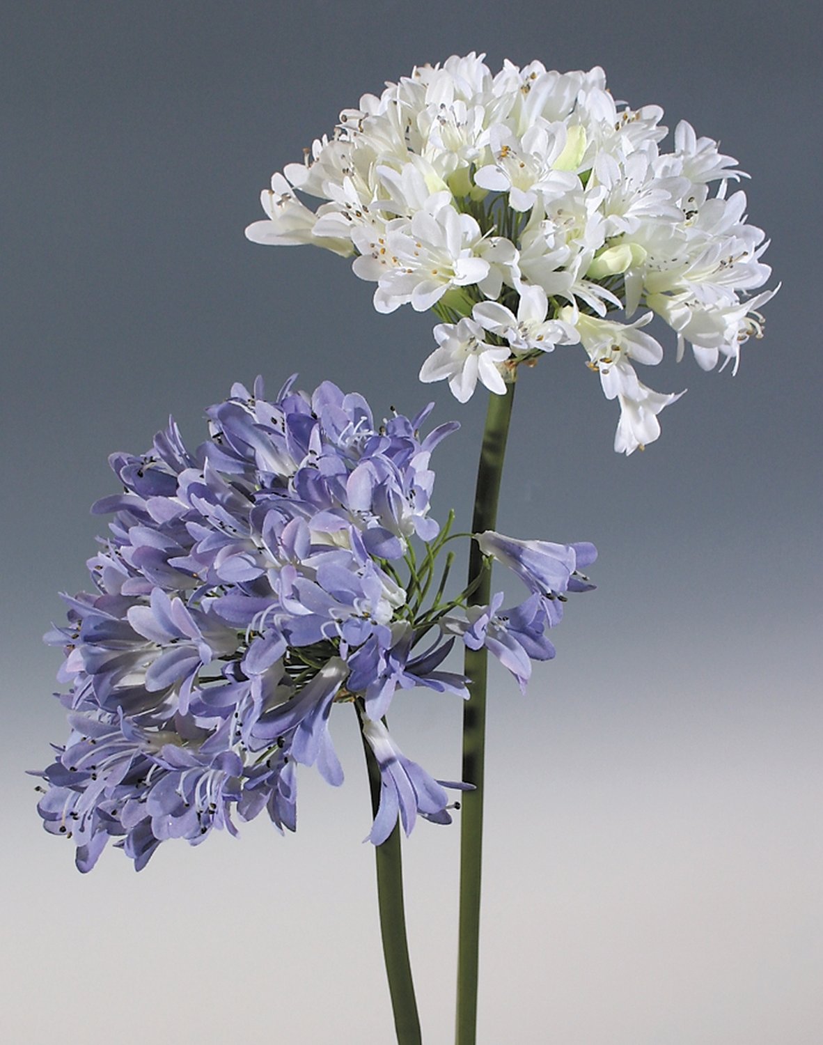 Künstlicher Agapanthus, 102 cm, hellviolett-dunkelviolett