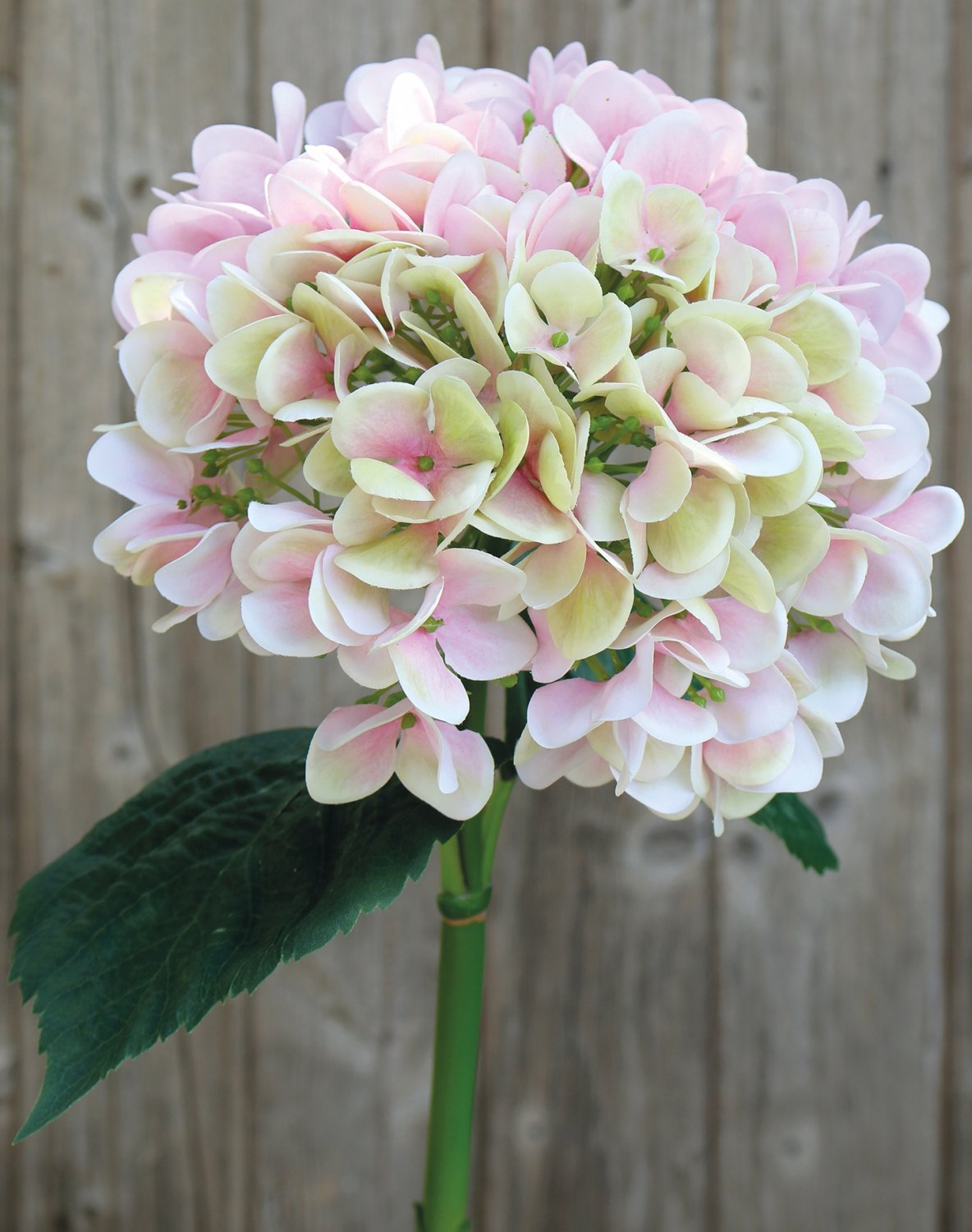 Künstliche Hortensie, 65 cm, rosa-grün