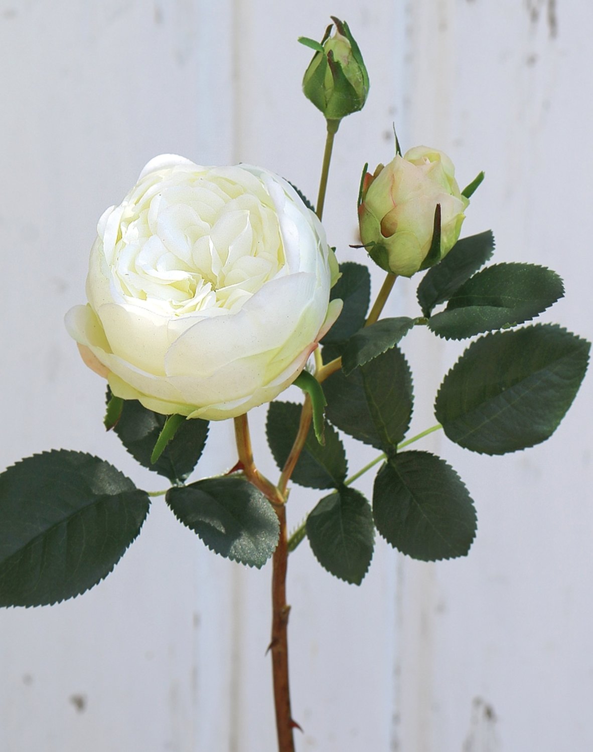 Künstliche Rose, 1 Blüten, 2 Knospen, 60 cm, Real Touch Soft, creme-weiß
