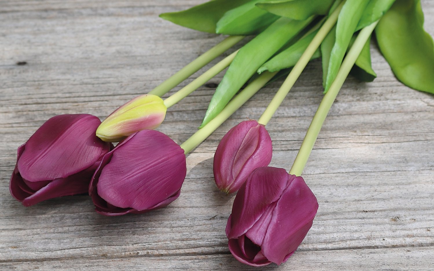 Künstlicher Tulpenbund, französisch, gemischt, 5-fach, 47 cm, Real Touch, violett-grün