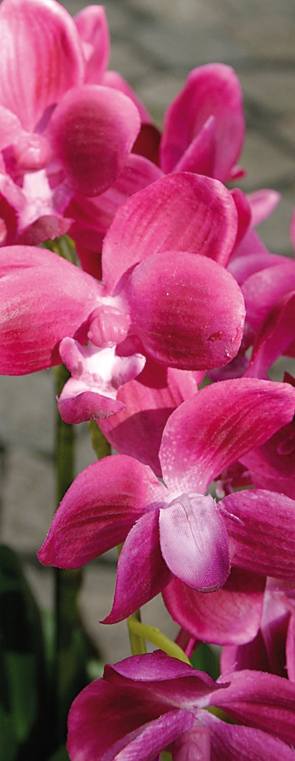 Künstliche Orchidee Phalaenopsis, 3-fach, in Schale, 38 cm, Real Touch, cerise