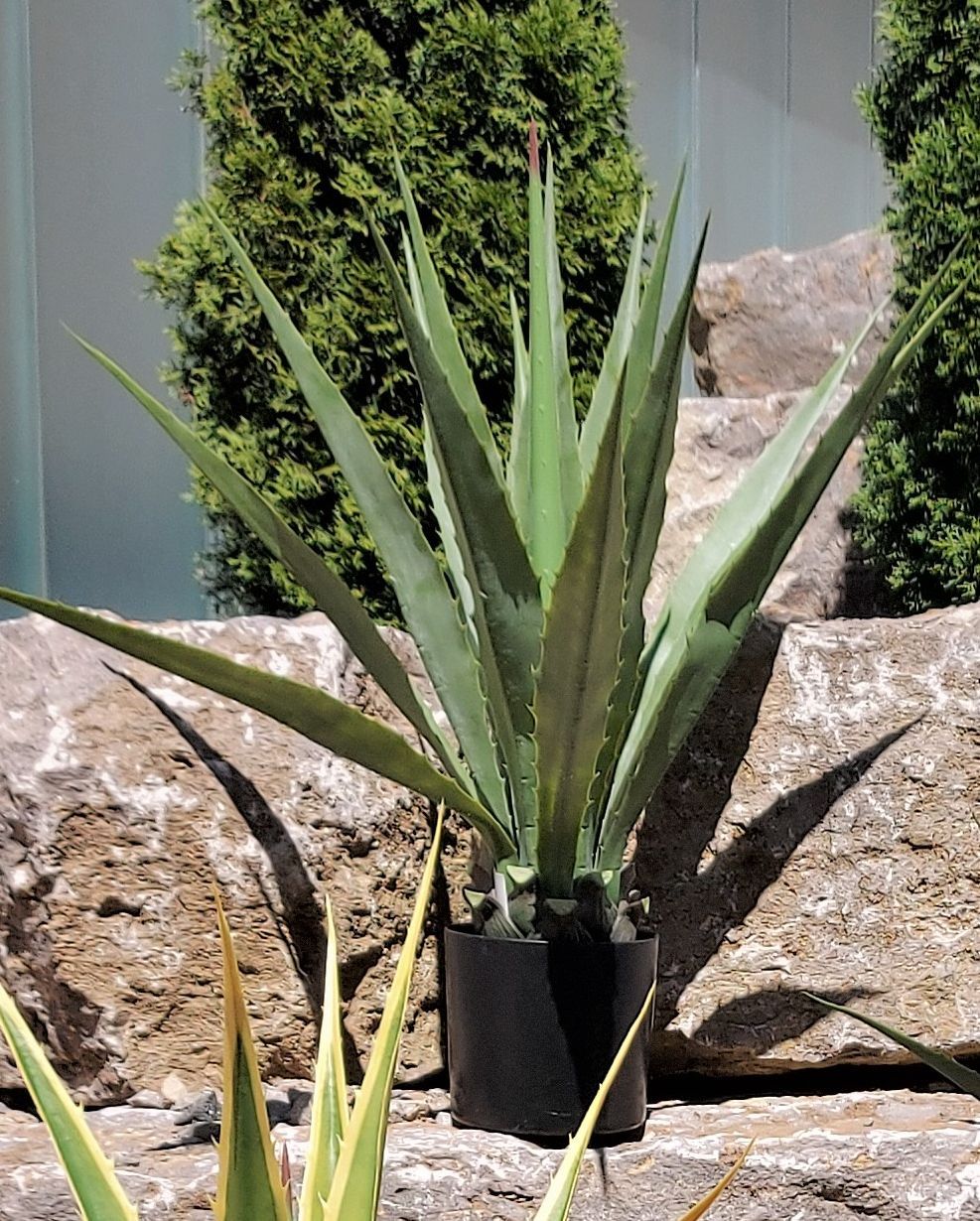 Agave artificiale, in vaso, 14 foglie, 100 cm, verde-grigio