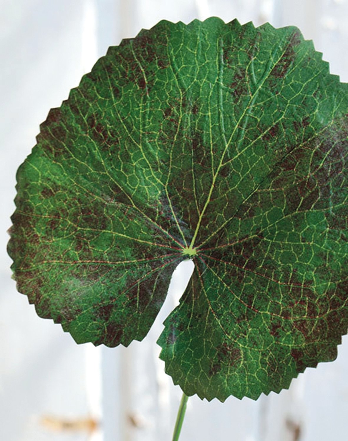 Plastic geranium leaf, 42 cm, green-red