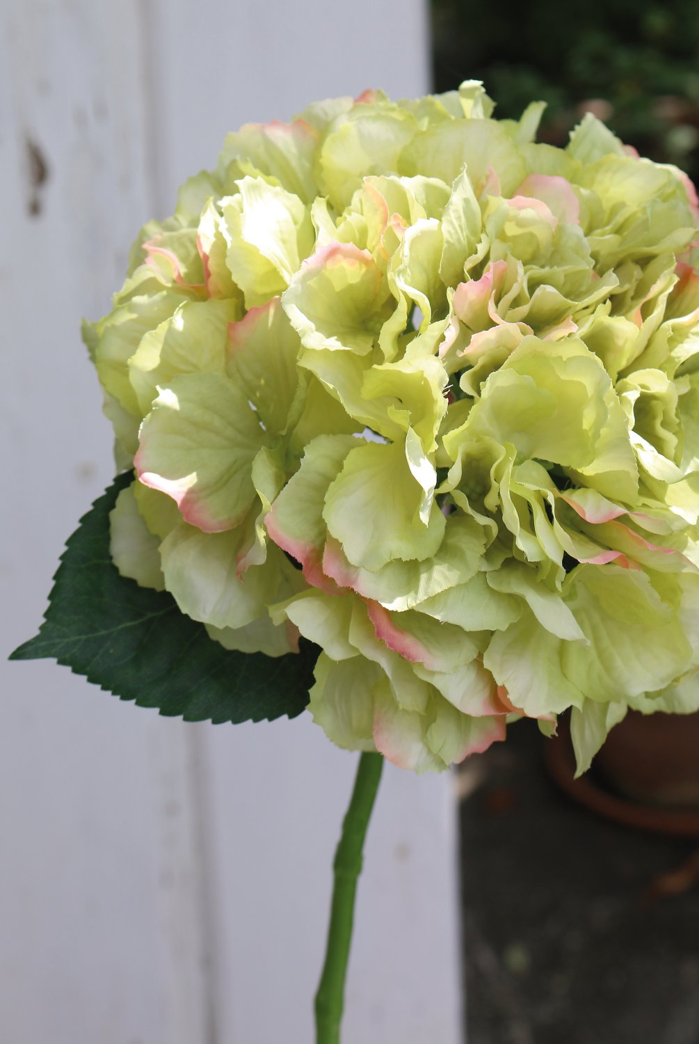 Silk hydrangea, 40 cm, beige-green