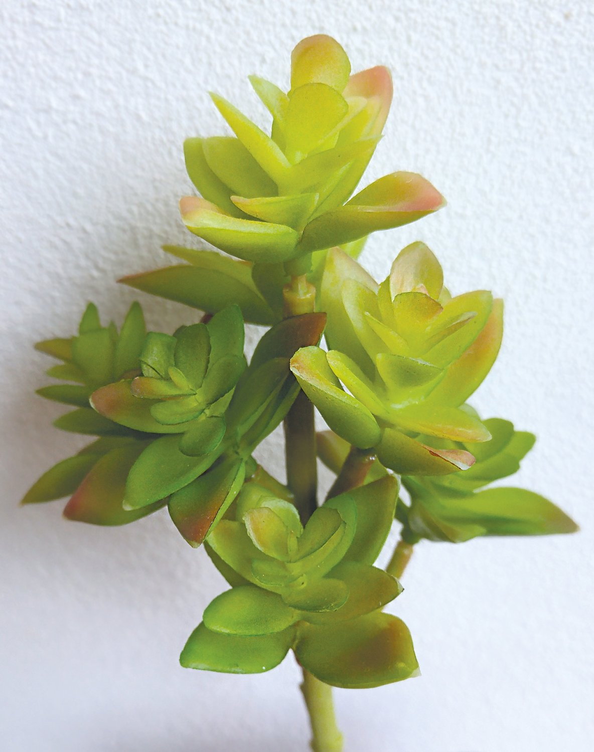 Succulent fake plants on stick, 17 cm, green