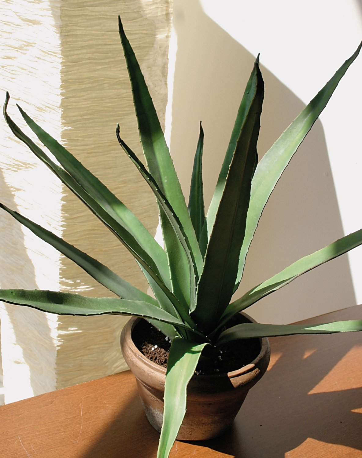 Künstliche Agave, 65cm, 14 Blätter, grün