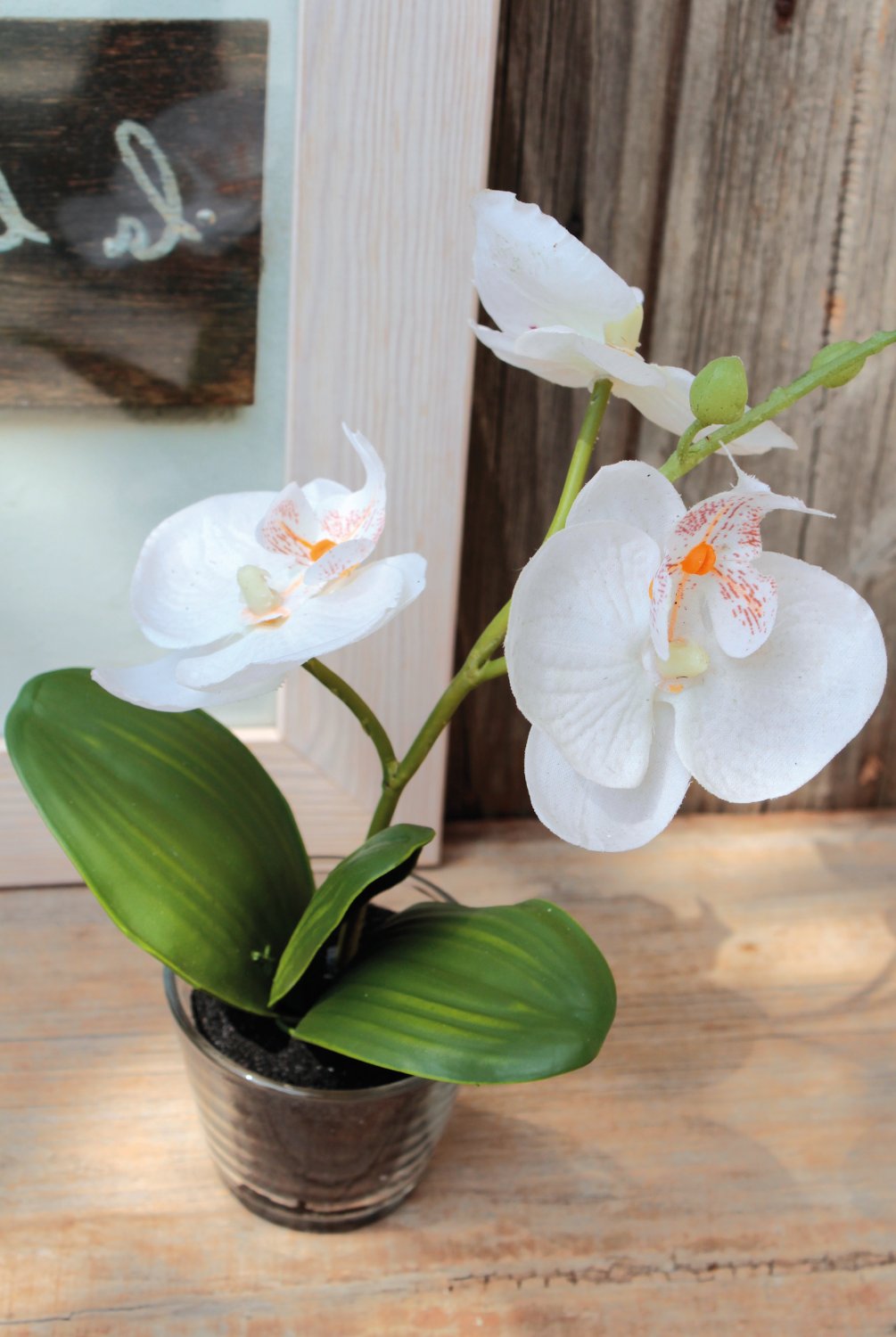 Künstliche Orchidee Phalaenopsis in Glasgefäß, 24 cm, creme-weiß