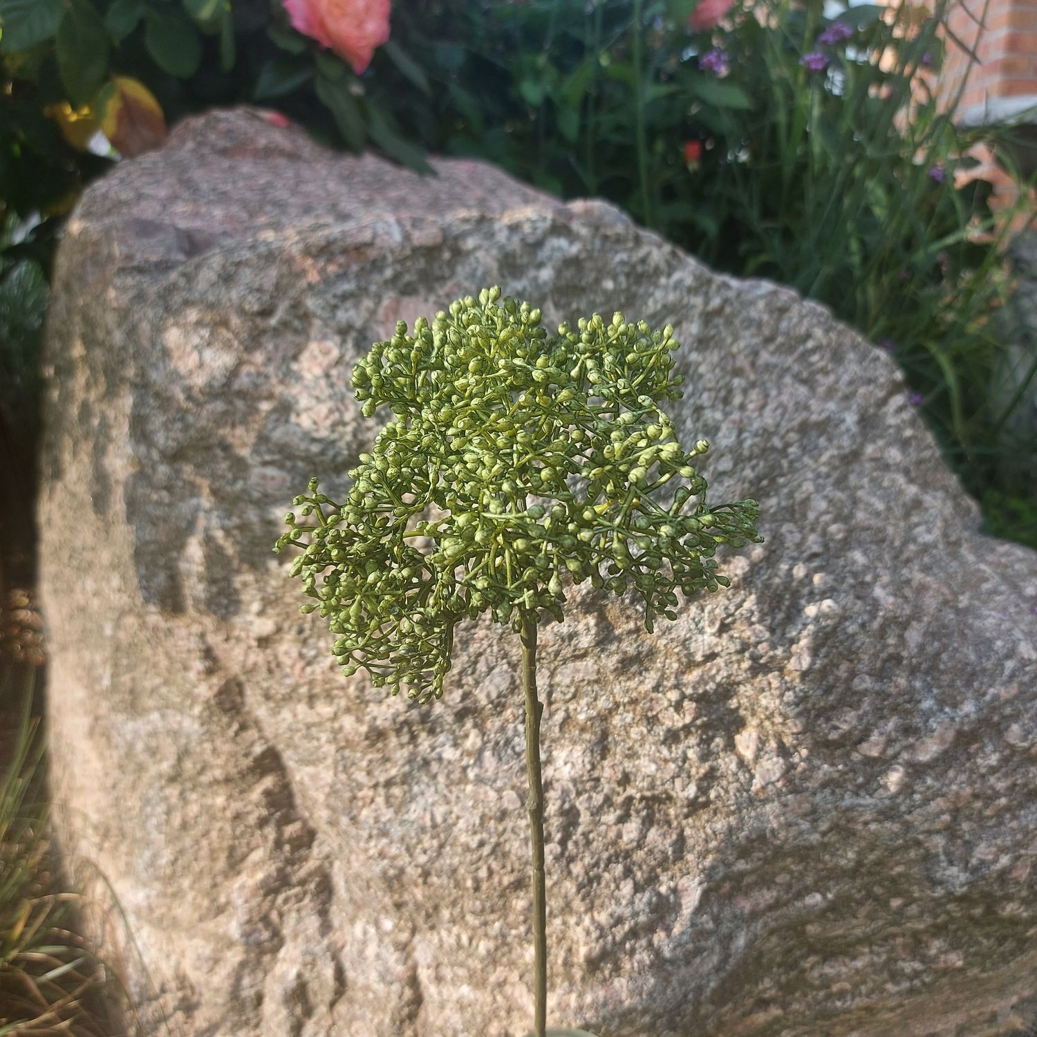 Rama decorativa de viburnum "Vintage", 54 cm, verde Rama decorativa de viburnum "Vintage", 54 cm, verde