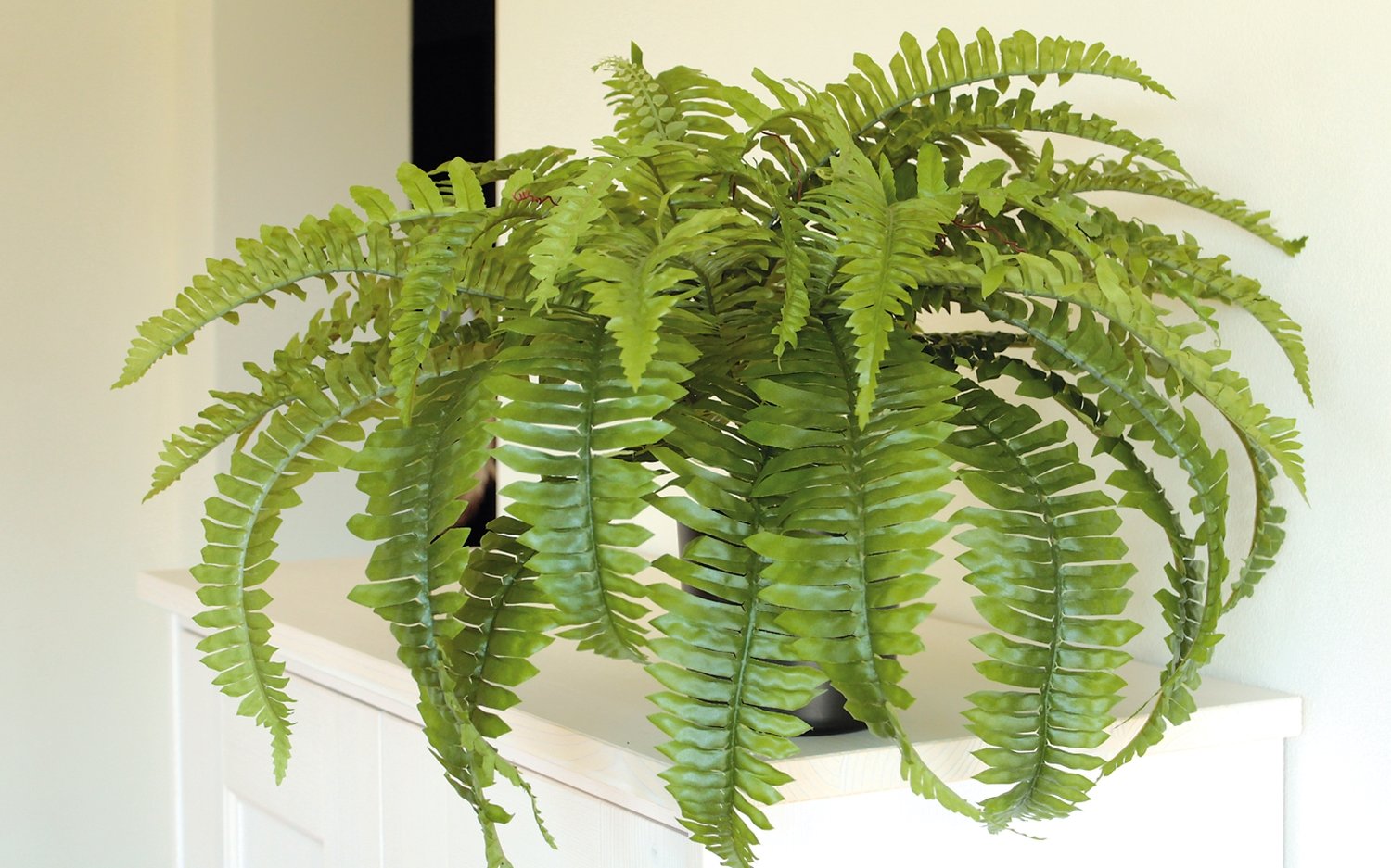 Artificial boston fern, potted, H 45 cm, Ø 75 cm, green