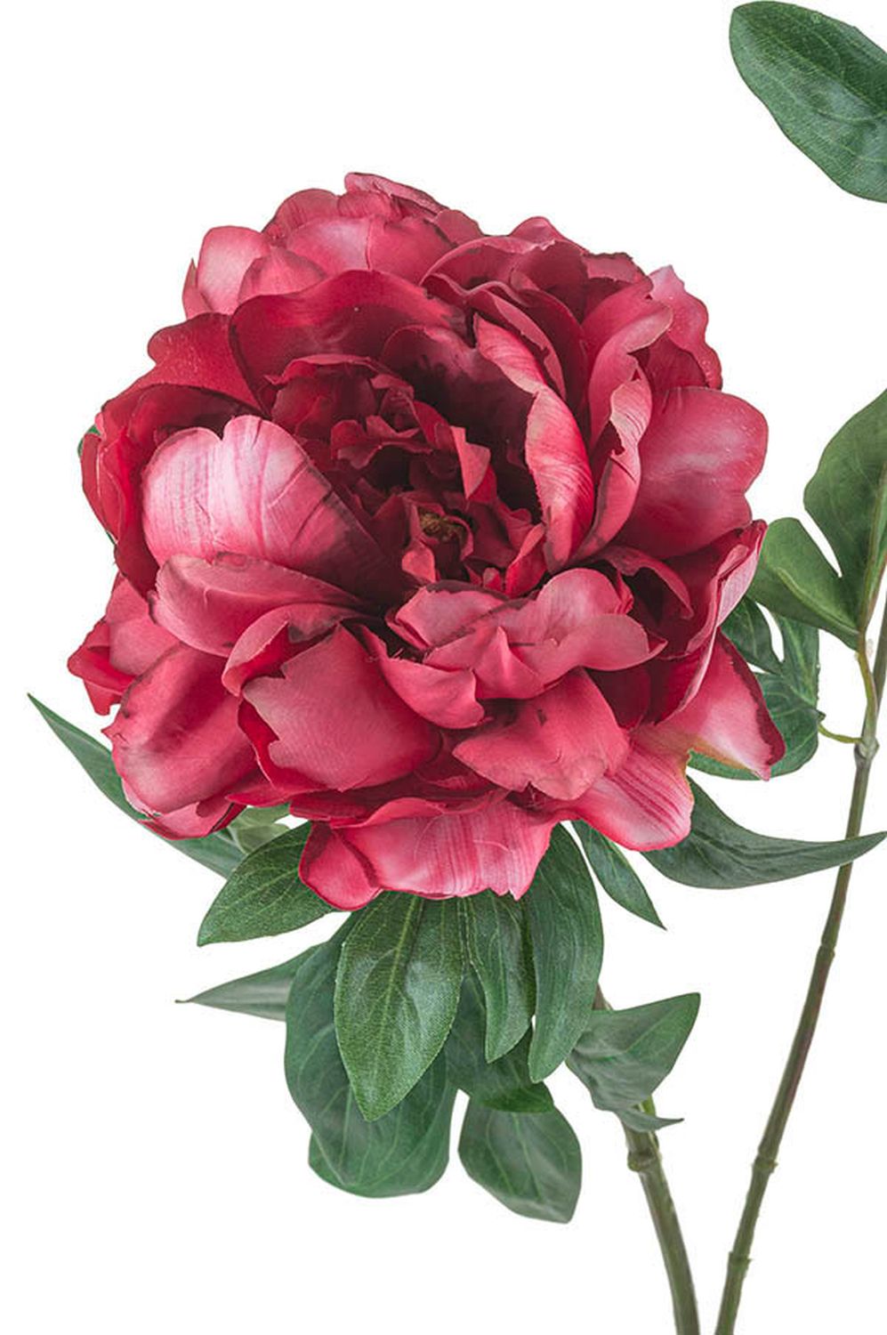 Kunstblume Päonie, 68 cm, rot-rosa