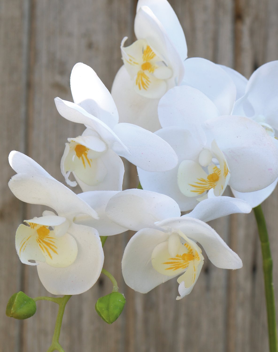 Künstliche Orchidee Phalaenopsis, 80 cm, Real Touch Soft, weiß