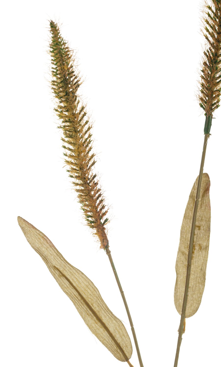 Künstliche Liriope, 3-fach, 74 cm, grün-braun