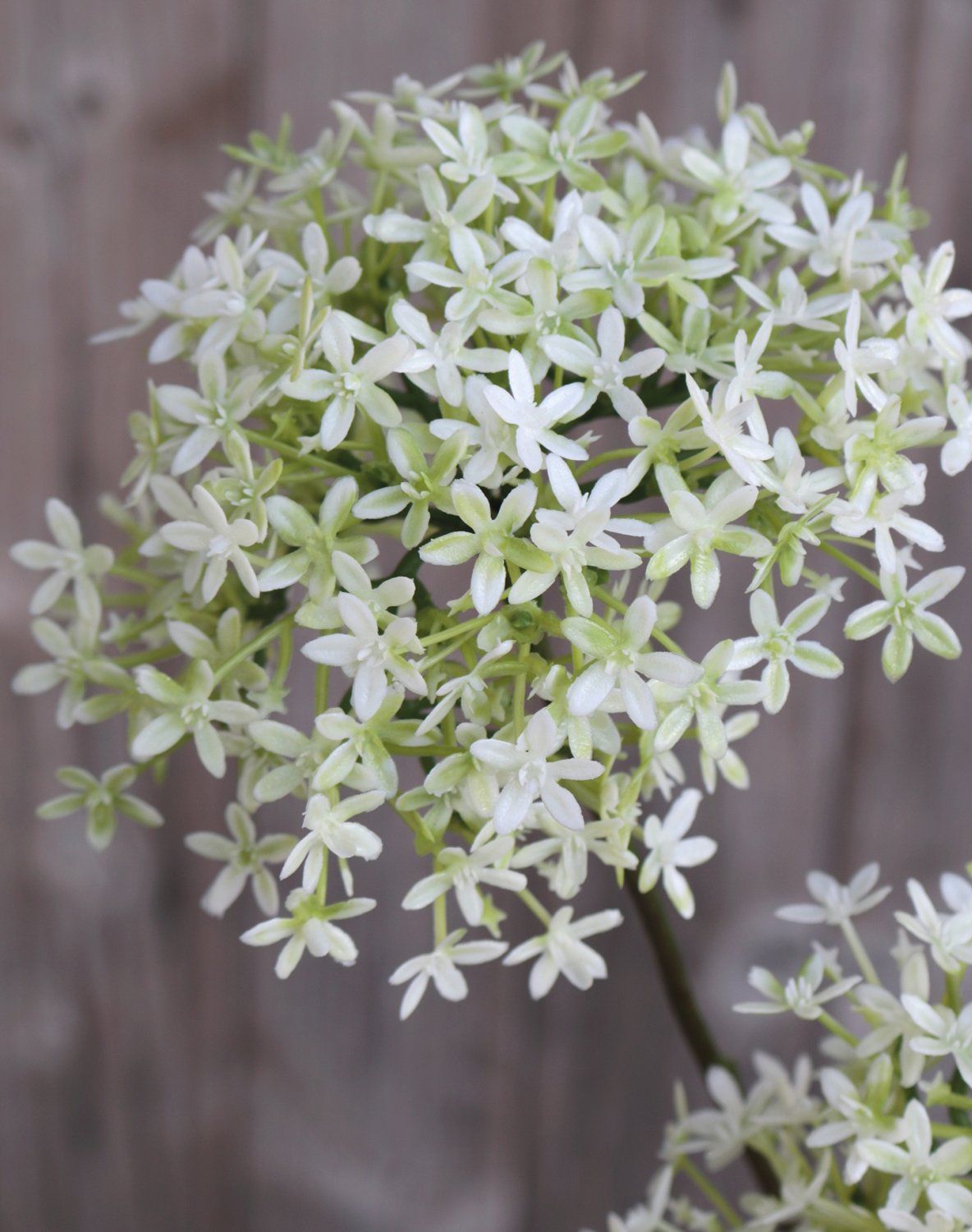 Artificial crown flower, 3 flowers, 76 cm, white-green